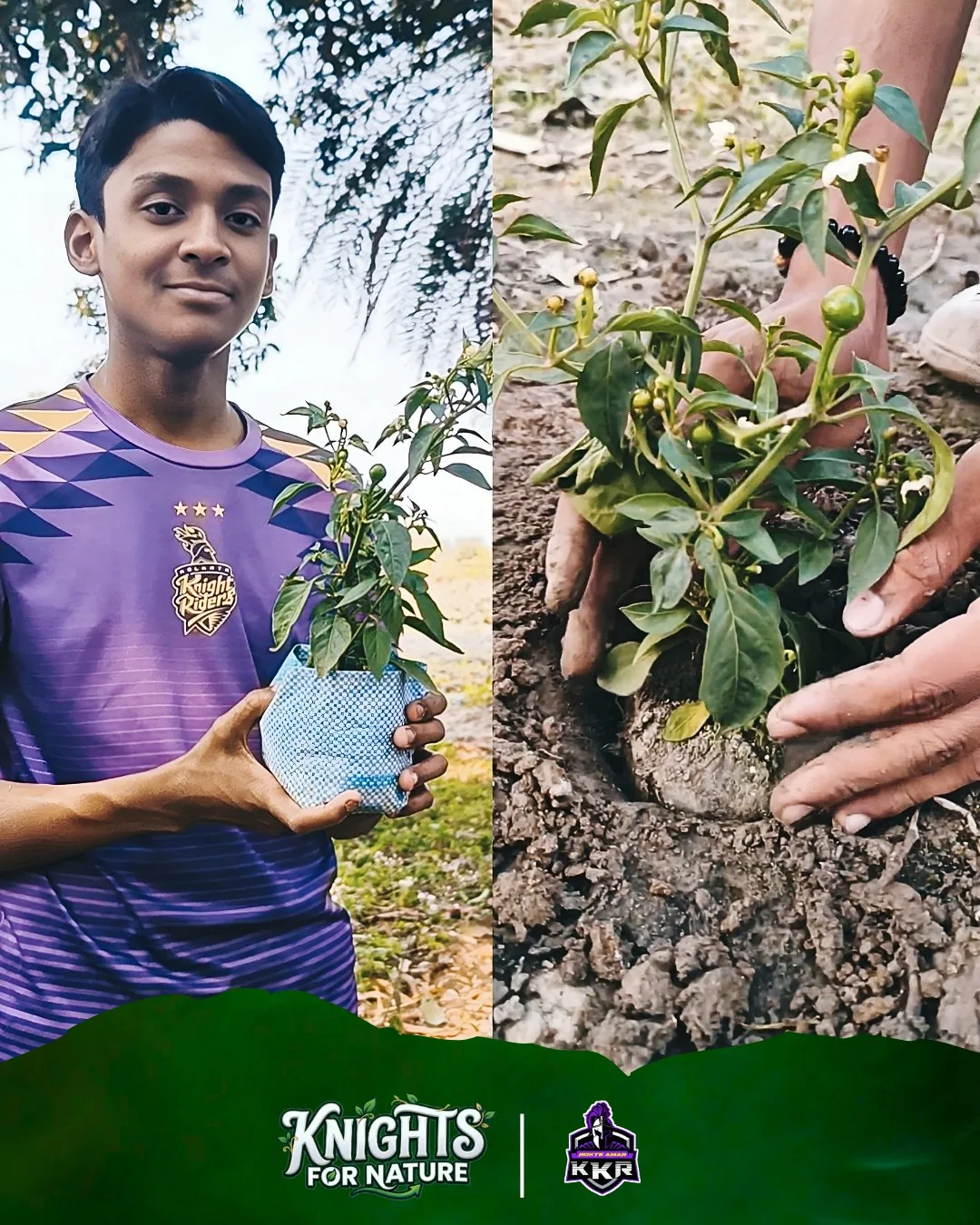 RAKKR Tree Plantation North 24 Parganas Photo 2